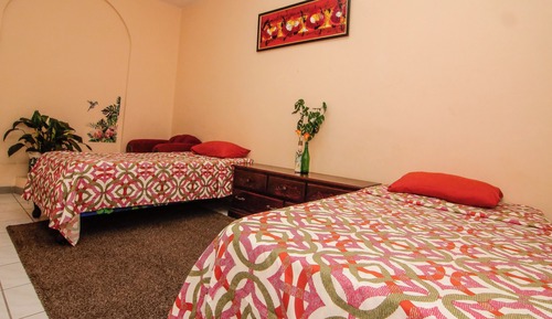 Chambre Double ou avec lits jumeaux, plusieurs lits