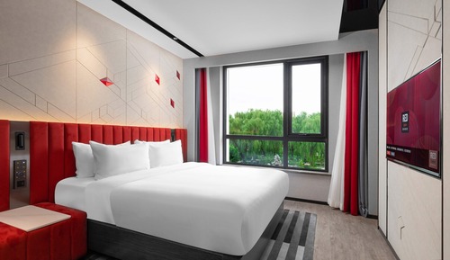 Basic Double or Twin Room