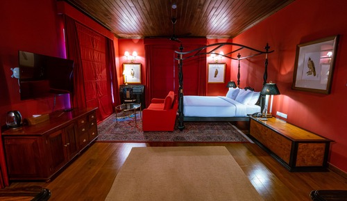 Suite Luxe