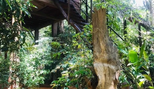 Deluxe Tree House