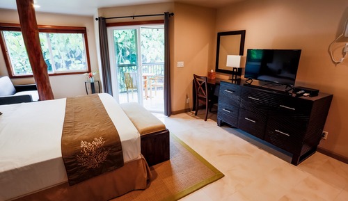 Suite Studio Luxe, 1 très grand lit, vue jardin