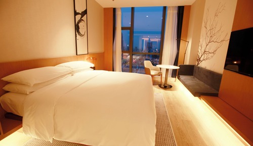 Chambre Affaires, 1 très grand lit, vue ville