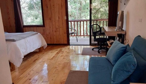 Cabane Standard