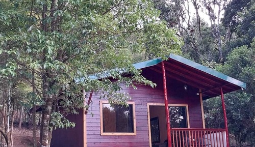 Cabane Deluxe