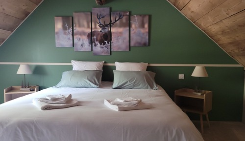 Chambre Double ou avec lits jumeaux