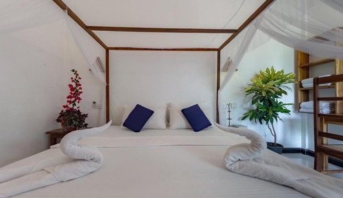 Chambre Double Deluxe, 1 très grand lit