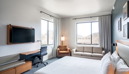 Chambre Simple Standard, 1 très grand lit