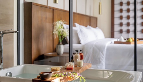 Suite, 2 chambres (SuiteZ with Plunge Pool)
