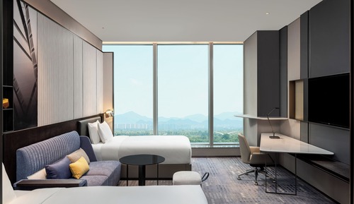 Chambre Premium, 2 lits une place, accès salon affaires