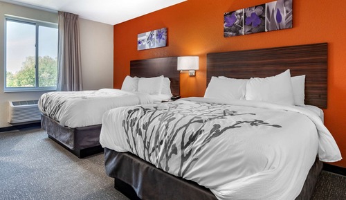 Chambre Standard, 2 grands lits, non-fumeurs