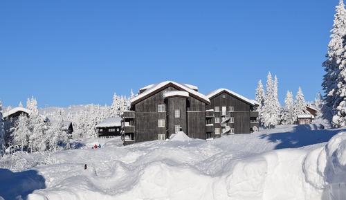 Appartement Panoramique (Veslesetervegen 973 -3009)