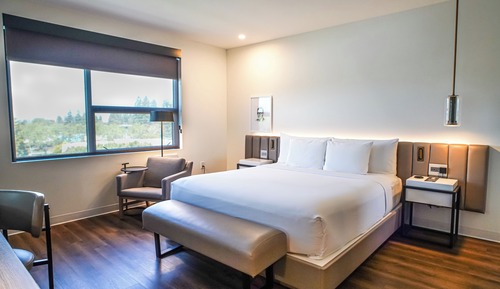 Chambre Premium, 1 très grand lit