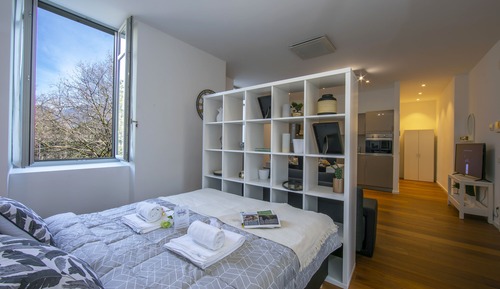 Studio Familial, vue montagne (Little Lugano)