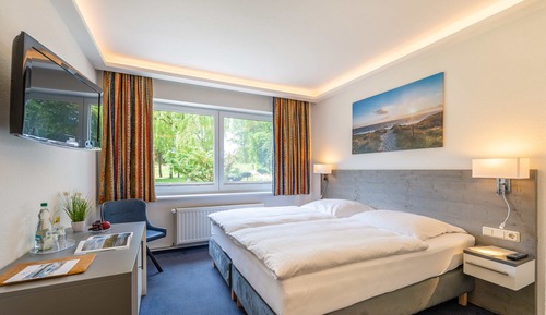 Chambre Double Confort, 1 grand lit, non-fumeurs