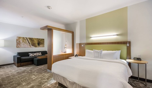 Suite, 1 très grand lit et 1 canapé-lit, non-fumeurs