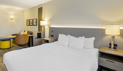Suite, 1 très grand lit et 1 canapé-lit, non-fumeurs (Efficiency)