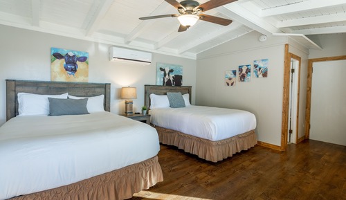 Chambre Deluxe, 2 grands lits