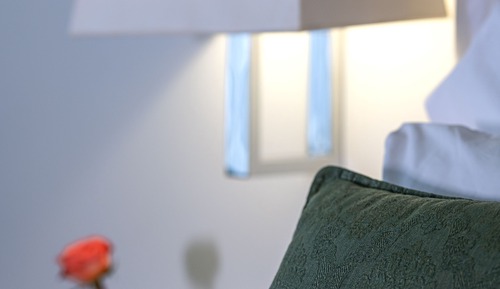 Chambre Supérieure Double ou avec lits jumeaux, vue jardin