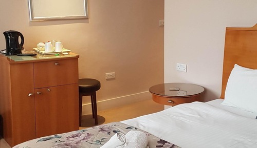 Chambre Exécutive Double ou avec lits jumeaux, salle de bains attenante