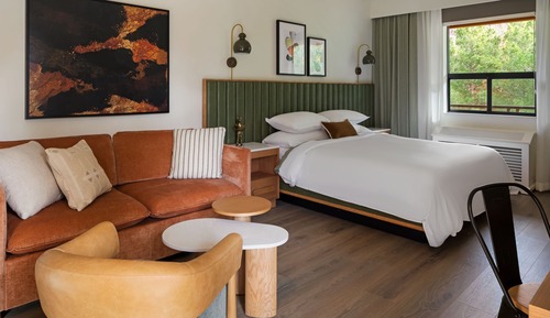 Chambre Standard, 1 très grand lit et 1 canapé-lit (Mobility/Hearing Access, Roll-In Shwr)