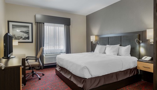 Chambre Standard, 1 grand lit, accessible aux personnes à mobilité réduite (with Sofabed)