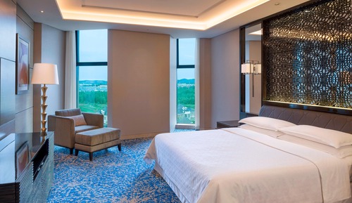 Suite, 1 chambre
