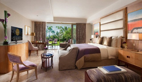Suite Junior, vue jardin (Baron Garden Suite)