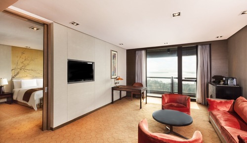 Suite, 1 chambre