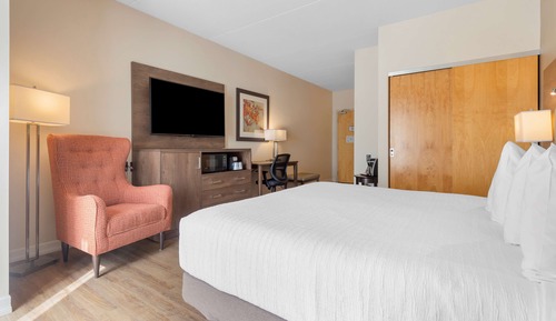 Chambre Standard, 1 très grand lit, accessible aux personnes à mobilité réduite, non-fumeurs