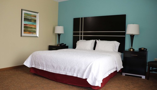 Chambre, 1 très grand lit (Mobility & Hearing, Roll-in Shower)