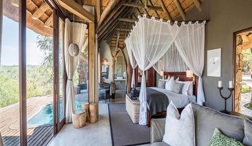 Suite Luxe