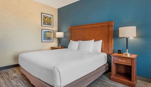 Chambre Deluxe, 1 très grand lit, accessible aux personnes à mobilité réduite (Roll in Shower)