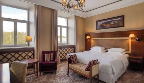 Chambre Double Deluxe, 1 très grand lit