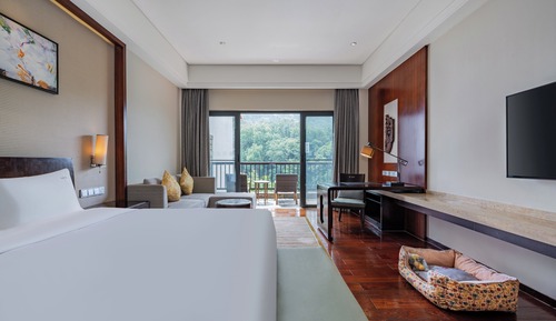 Chambre Standard (Pet Friendly)