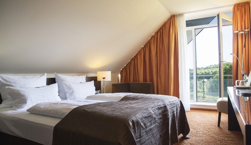 Chambre Double Confort, salle de bains privée