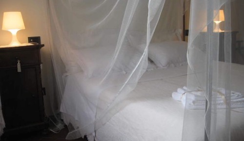 Suite, salle de bains privée