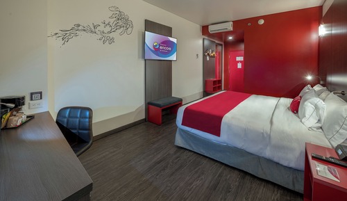 Chambre Exécutive, 1 très grand lit