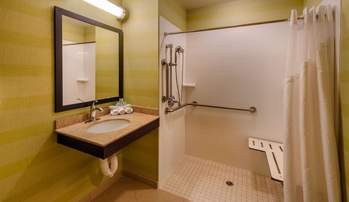Chambre Standard, 1 très grand lit (Communication, Roll-In Shower)