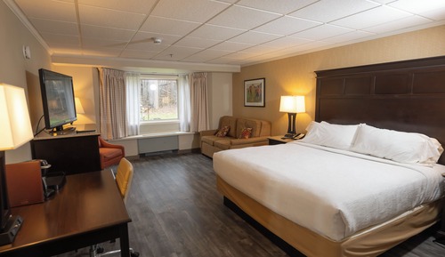 Chambre Deluxe, 1 très grand lit, accessible aux personnes à mobilité réduite (Mobility)