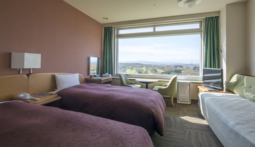 Chambre Standard avec lits jumeaux, non-fumeurs