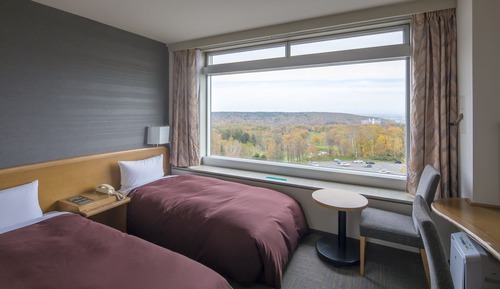 Chambre Économique avec lits jumeaux, non-fumeurs