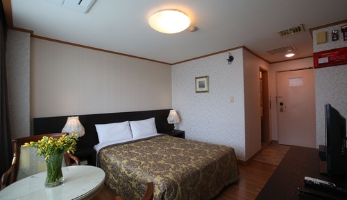 Chambre Double Standard, 1 lit double