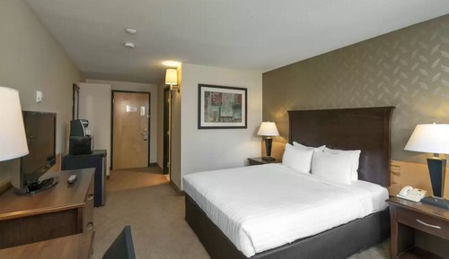 Chambre Standard, 1 grand lit