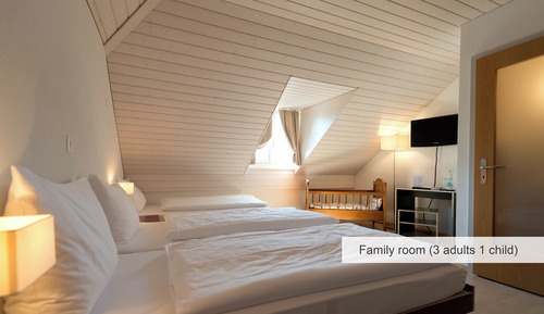 Chambre Triple Familiale