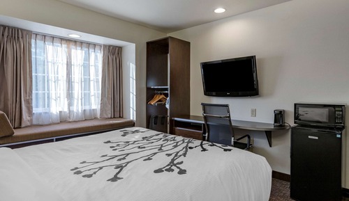 Chambre Standard, 1 grand lit, non-fumeurs
