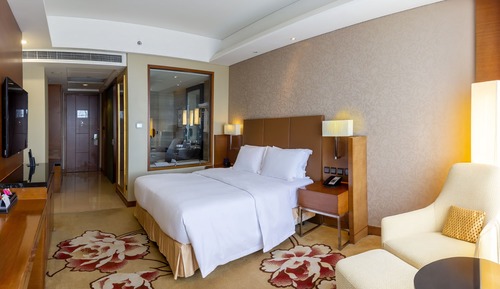 Chambre Affaires, 1 très grand lit