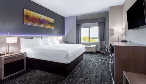Chambre, 1 très grand lit, non-fumeurs (Pet-friendly)