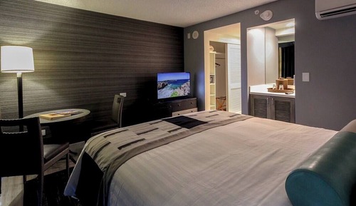Chambre, 1 très grand lit, vue parc