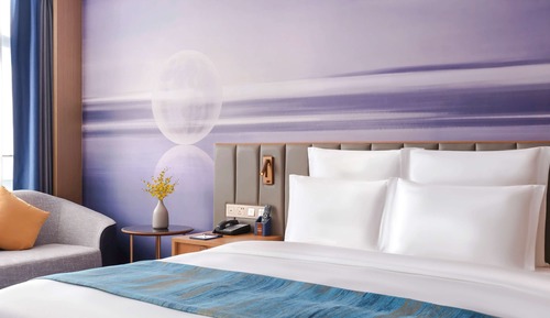 Chambre Exécutive, 1 très grand lit, accès au salon club