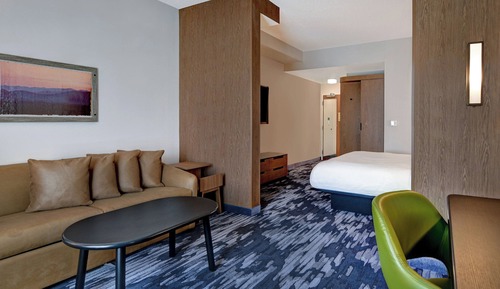 Suite, 1 très grand lit et 1 canapé-lit, non-fumeurs (Mobility Accessible, Roll-in Shower)